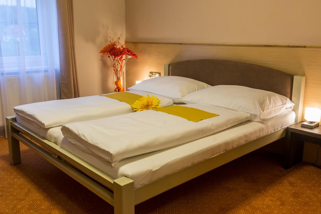 Hotel Luznice Planá nad Lužnicí Rum bild